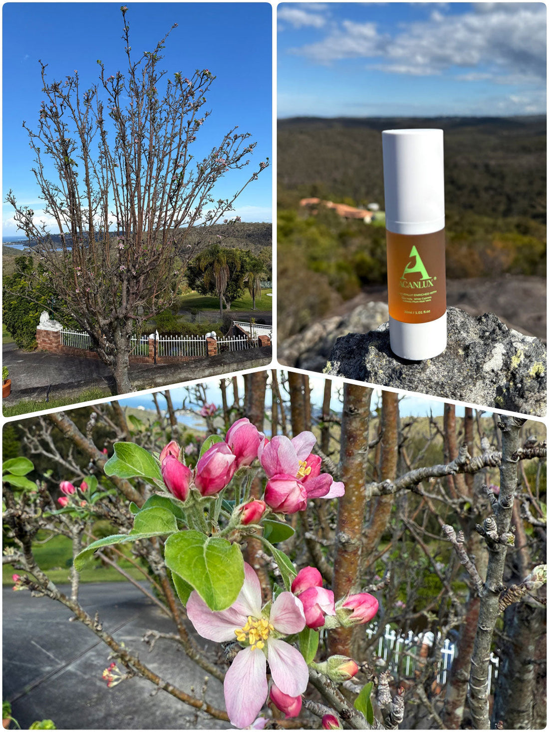 Weekend Outdoor Escape