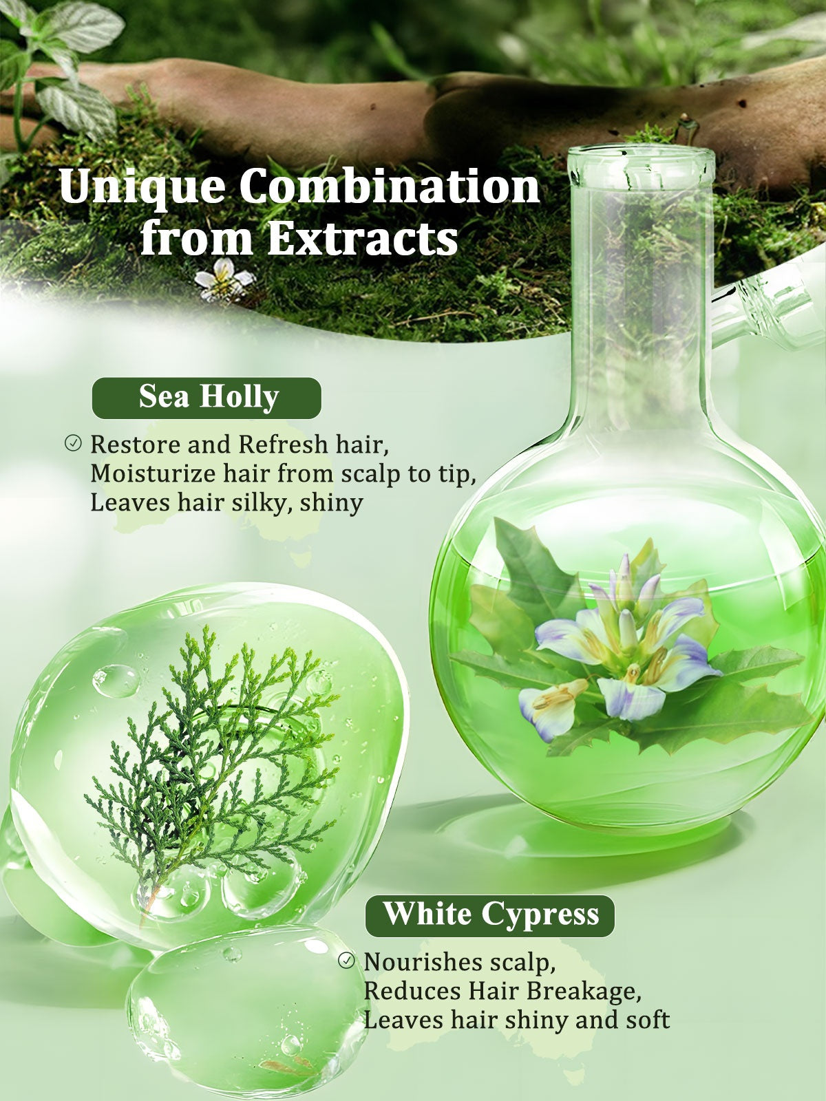 ACANLUX AHL-002 restore natural shampoo sea holly dry hair