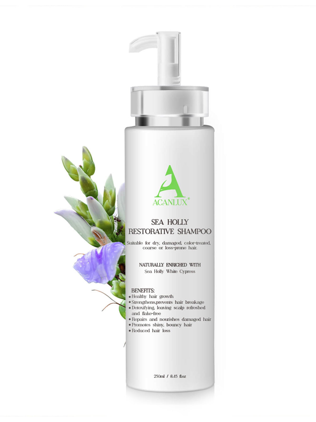ACANLUX Restore Shampoo para el cuidado de reparación de daños secos Frizzy Anti-caída del cabello, 250 ml