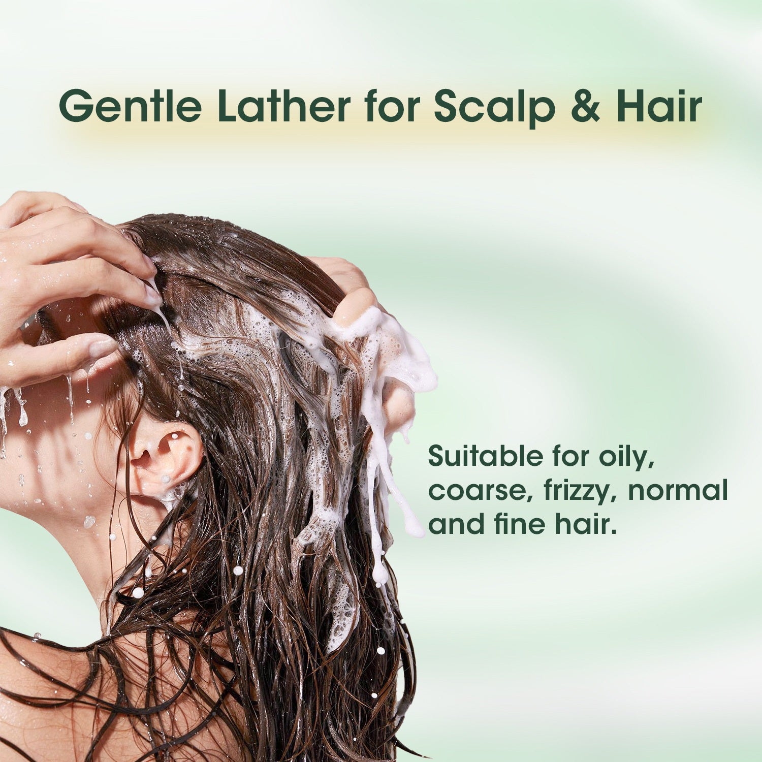 ACANLUX Revitalize Champú para el cuidado del cabello seco y graso, limpieza profunda, 250 ml