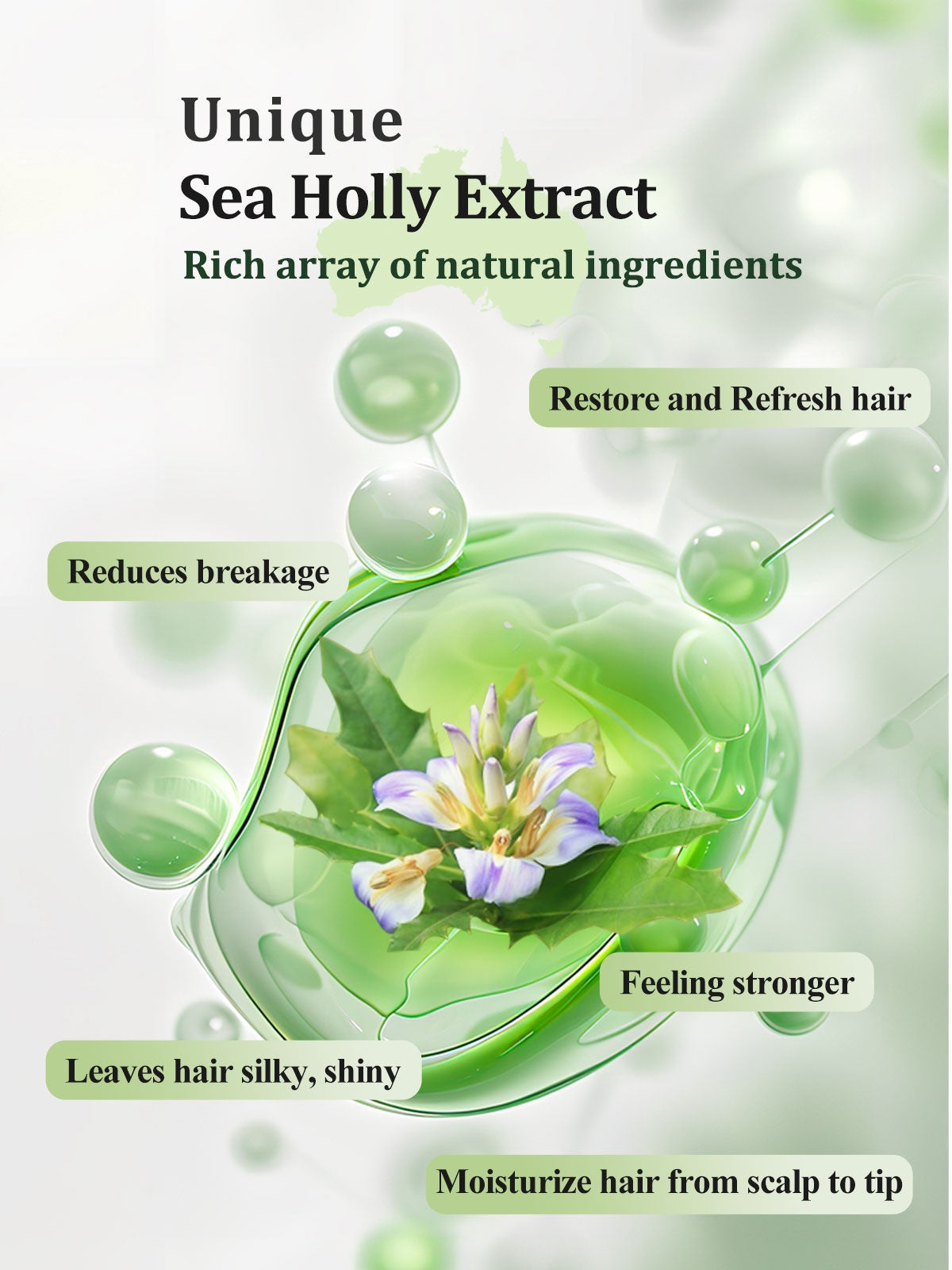 ACANLUX AHL-001 revitalize natural shampoo sea holly oily all hairs