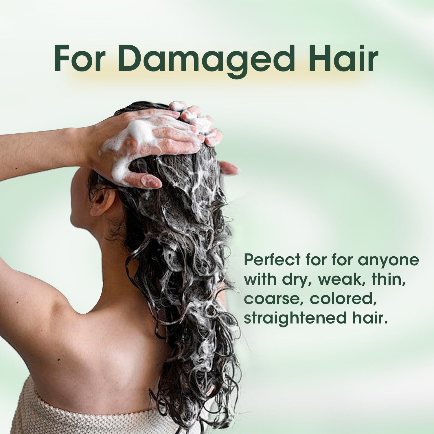 ACANLUX Restore Shampoo for Dry Damage Repair Care Frizzy Anti-Hair Loss